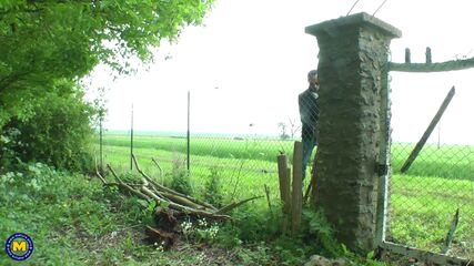 Big Mature Tits Porn BBC